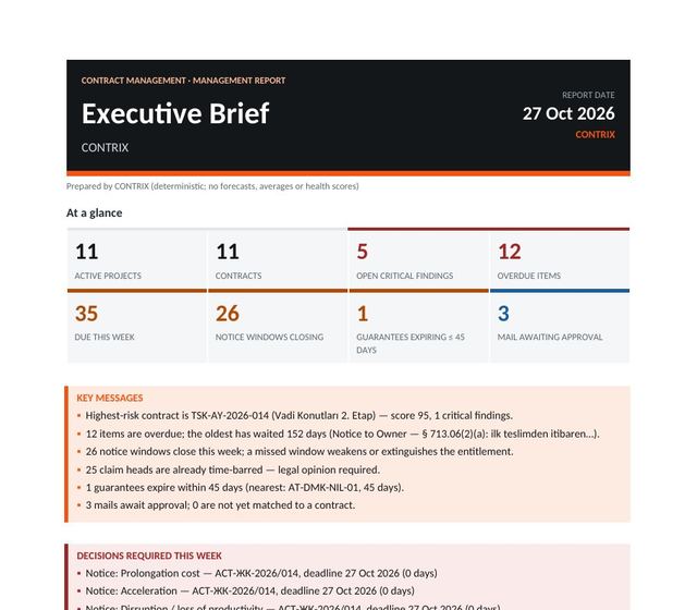 Word · Executive brief (p. 1)
