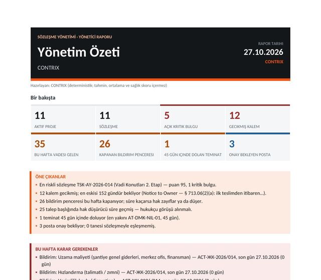 Word · Yönetim özeti (s. 1)