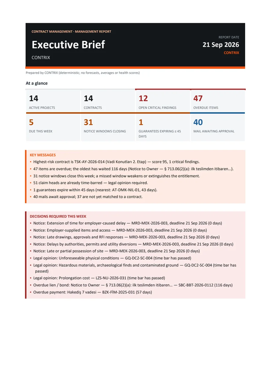 Executive brief cover